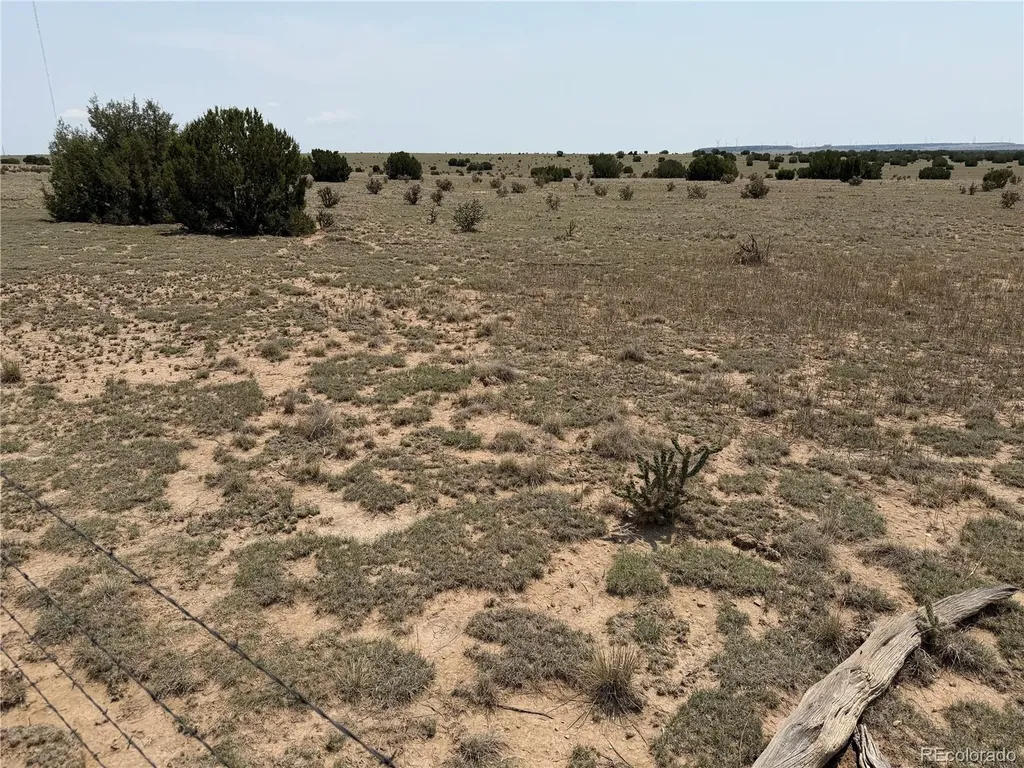 Lot 167 Tyrone Hills Ranch Walsenburg CO 81089