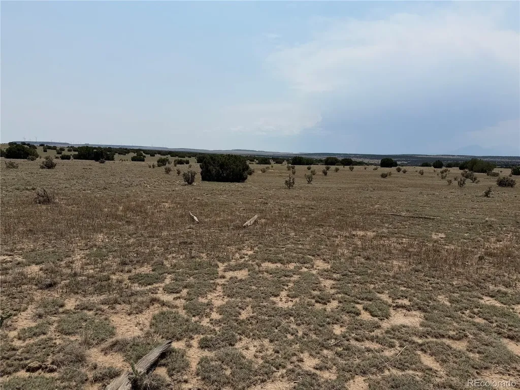 Lot 167 Tyrone Hills Ranch Walsenburg CO 81089