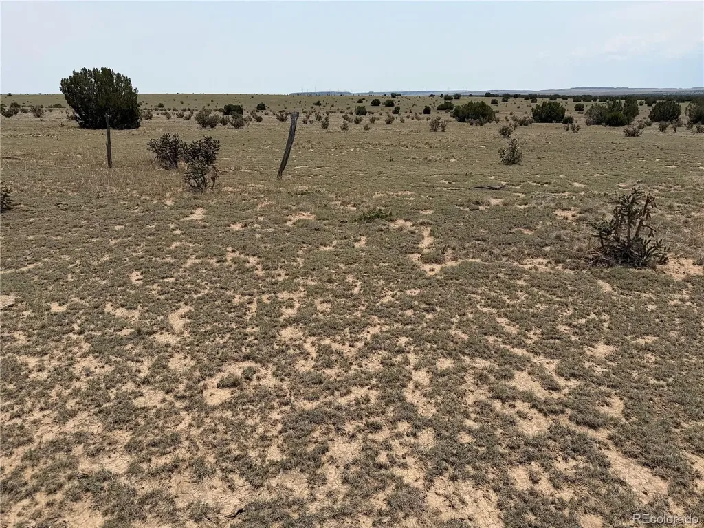 Lot 167 Tyrone Hills Ranch Walsenburg CO 81089