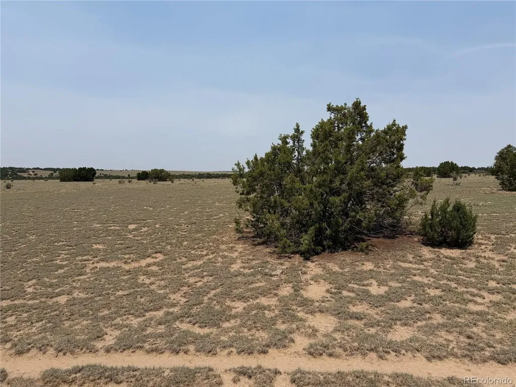 Lot 167 Tyrone Hills Ranch Walsenburg CO 81089