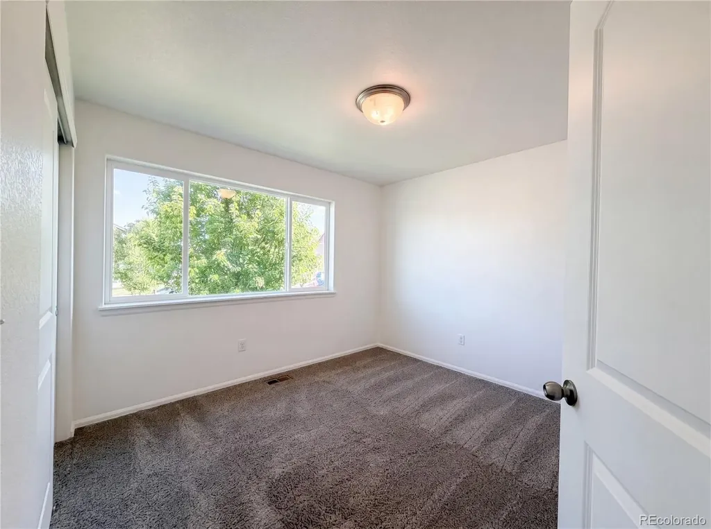 948 Scotch Pine Drive Windsor CO 80550