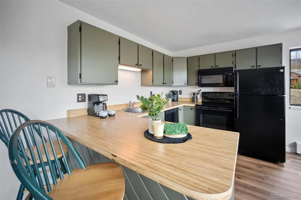 9876 Ryan Gulch Road Silverthorne CO 80498
