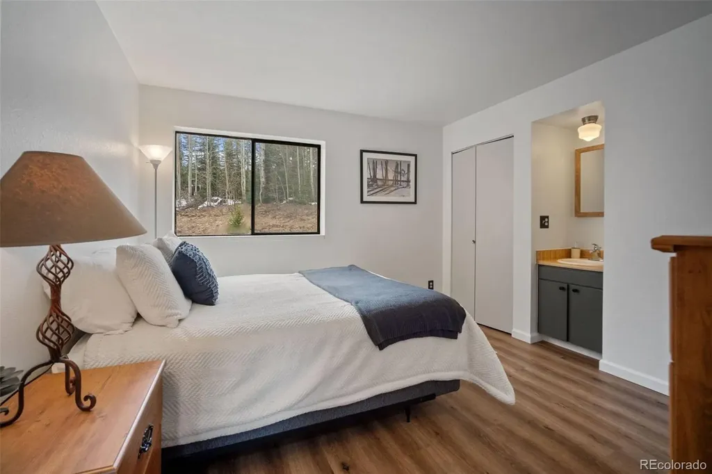 9876 Ryan Gulch Road Silverthorne CO 80498