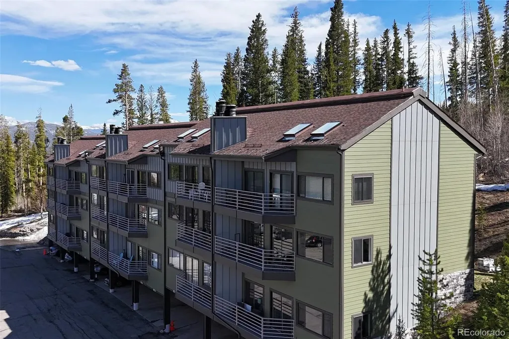 9876 Ryan Gulch Road Silverthorne CO 80498
