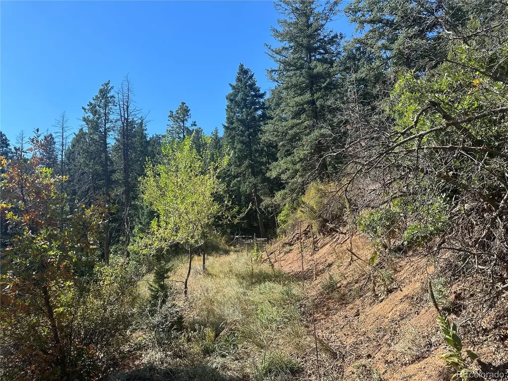 270 Upper Sun Valley Road Manitou Springs CO 80829