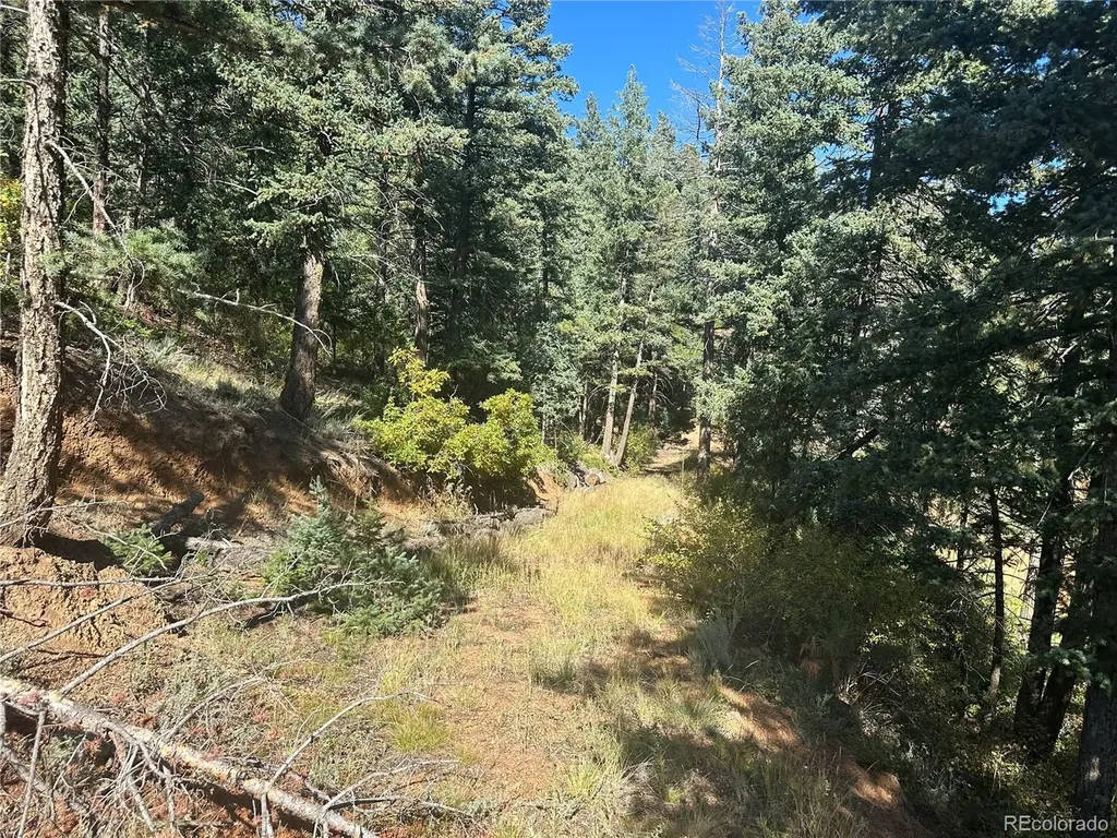 270 Upper Sun Valley Road Manitou Springs CO 80829