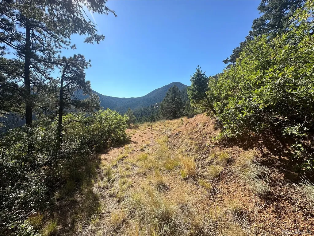 270 Upper Sun Valley Road Manitou Springs CO 80829