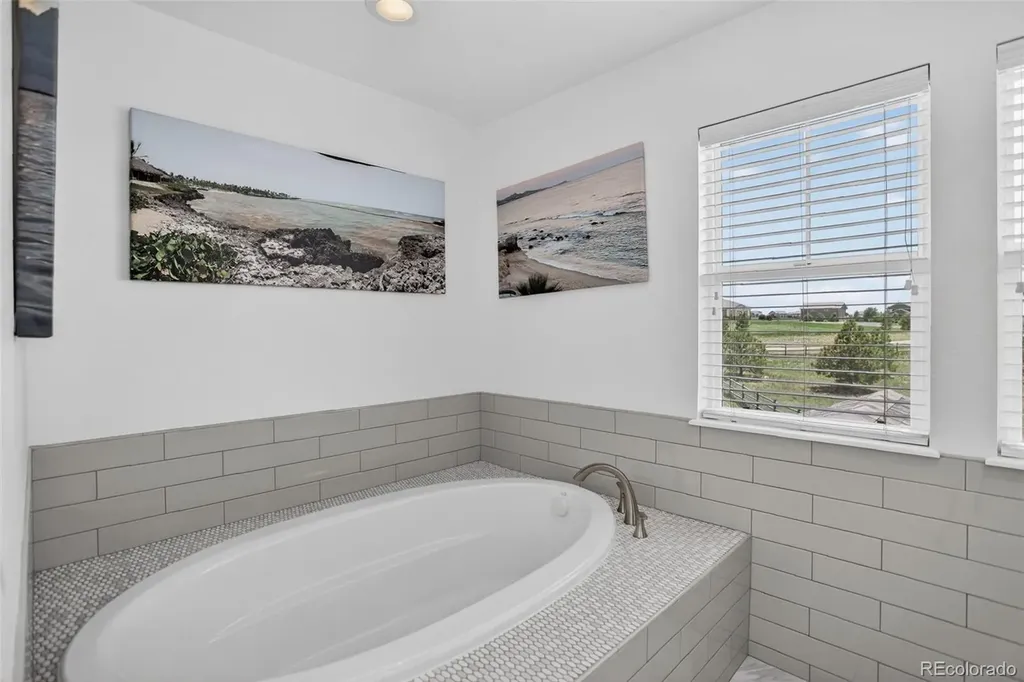 3319 Paintbrush Lane Parker CO 80138