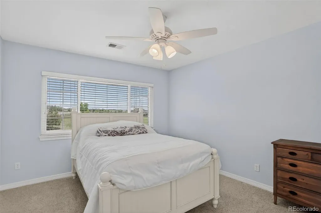 3319 Paintbrush Lane Parker CO 80138