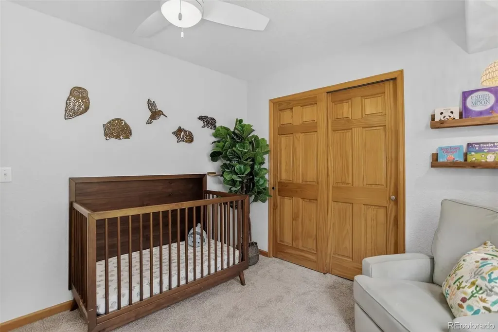 10972 Milliken Avenue Conifer CO 80433