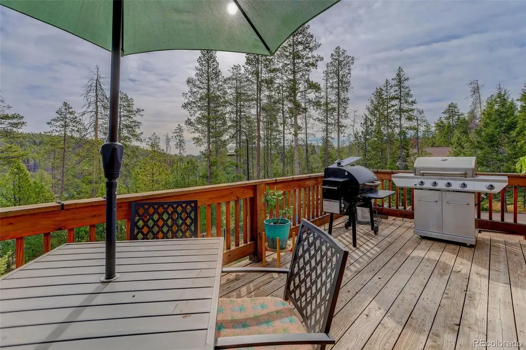 10972 Milliken Avenue Conifer CO 80433