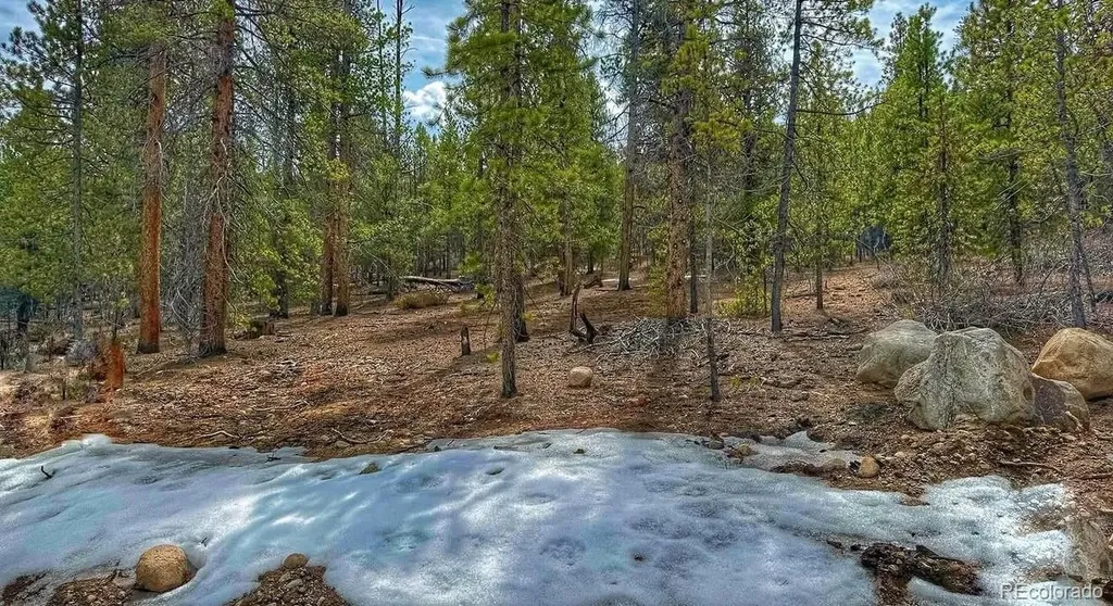 48 Mount Massive Road Twin Lakes CO 81251