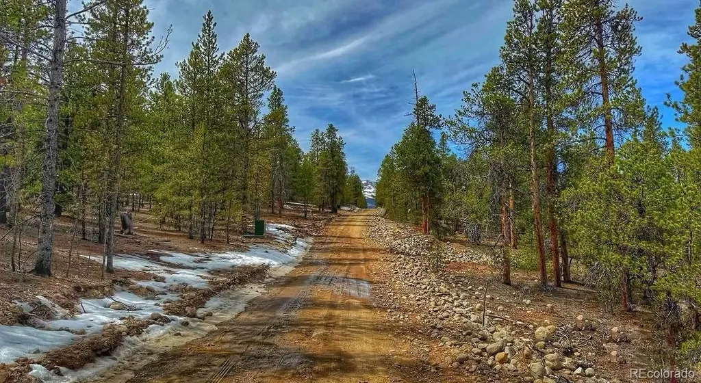 48 Mount Massive Road Twin Lakes CO 81251