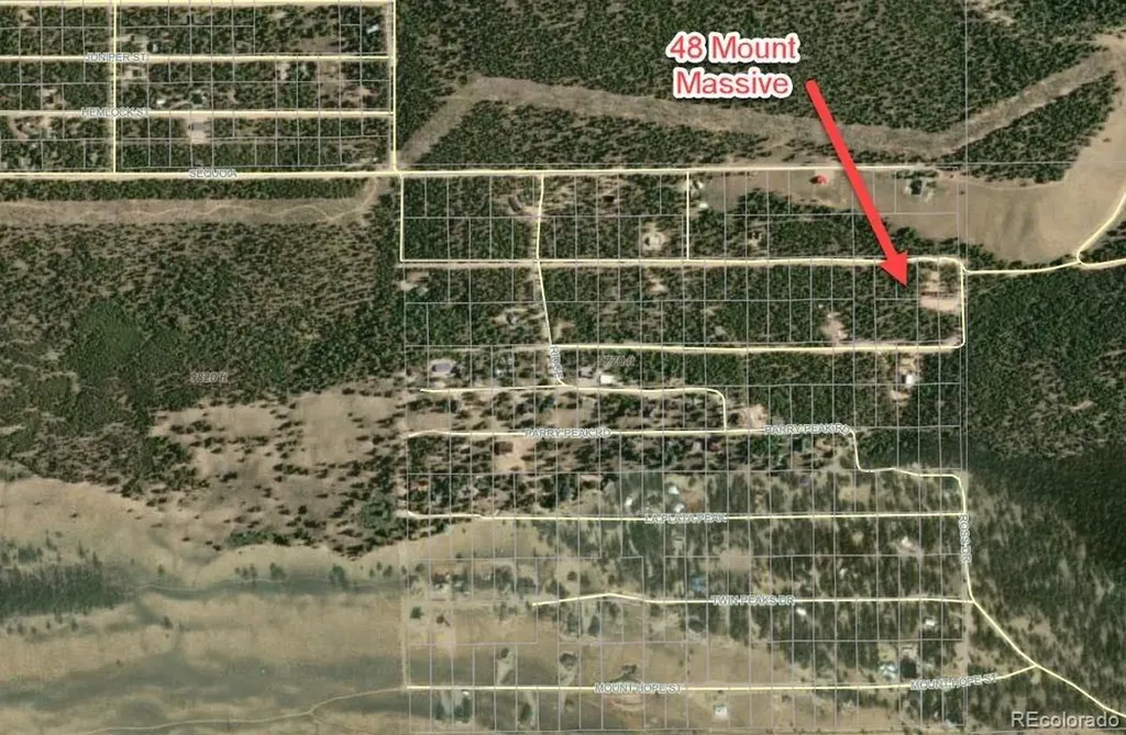 48 Mount Massive Road Twin Lakes CO 81251