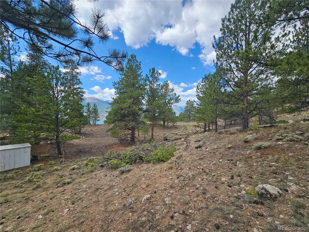 142 La Plata Peak Drive Twin Lakes CO 81251