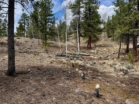 142 La Plata Peak Drive Twin Lakes CO 81251