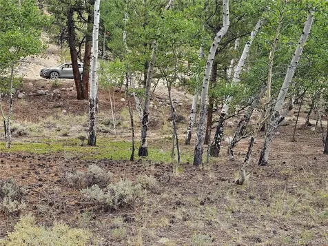 142 La Plata Peak Drive Twin Lakes CO 81251