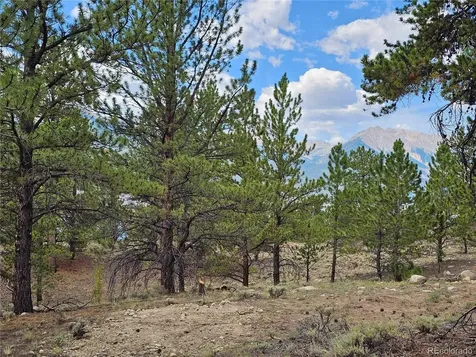 142 La Plata Peak Drive Twin Lakes CO 81251