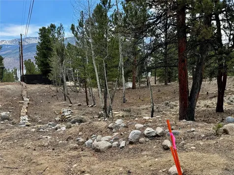 142 La Plata Peak Drive Twin Lakes CO 81251