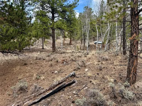 142 La Plata Peak Drive Twin Lakes CO 81251