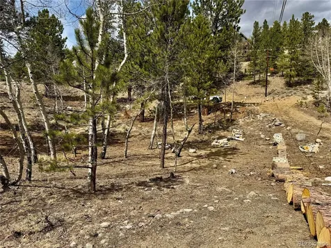 142 La Plata Peak Drive Twin Lakes CO 81251