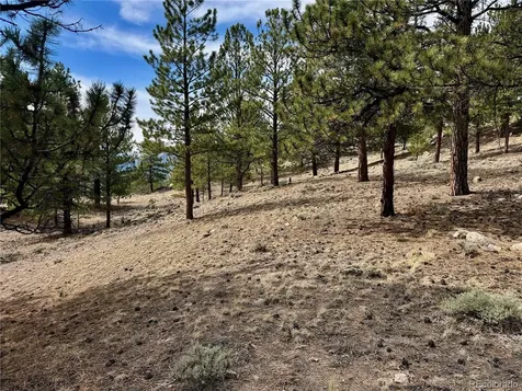 142 La Plata Peak Drive Twin Lakes CO 81251