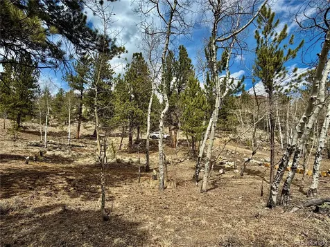 142 La Plata Peak Drive Twin Lakes CO 81251