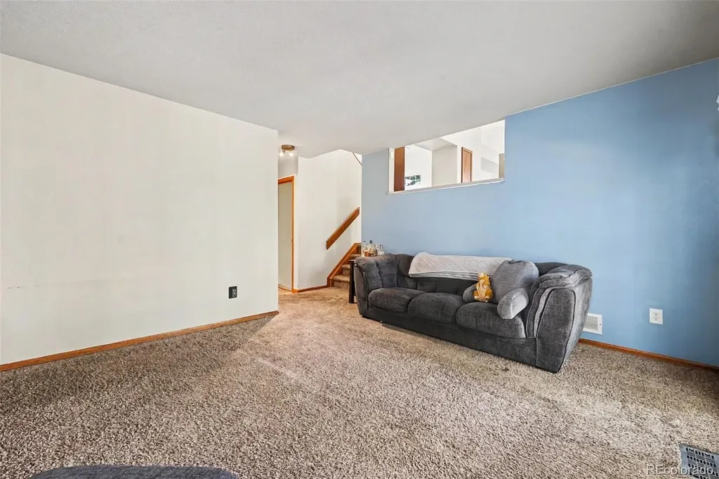 11507 Wray Court Parker CO 80134