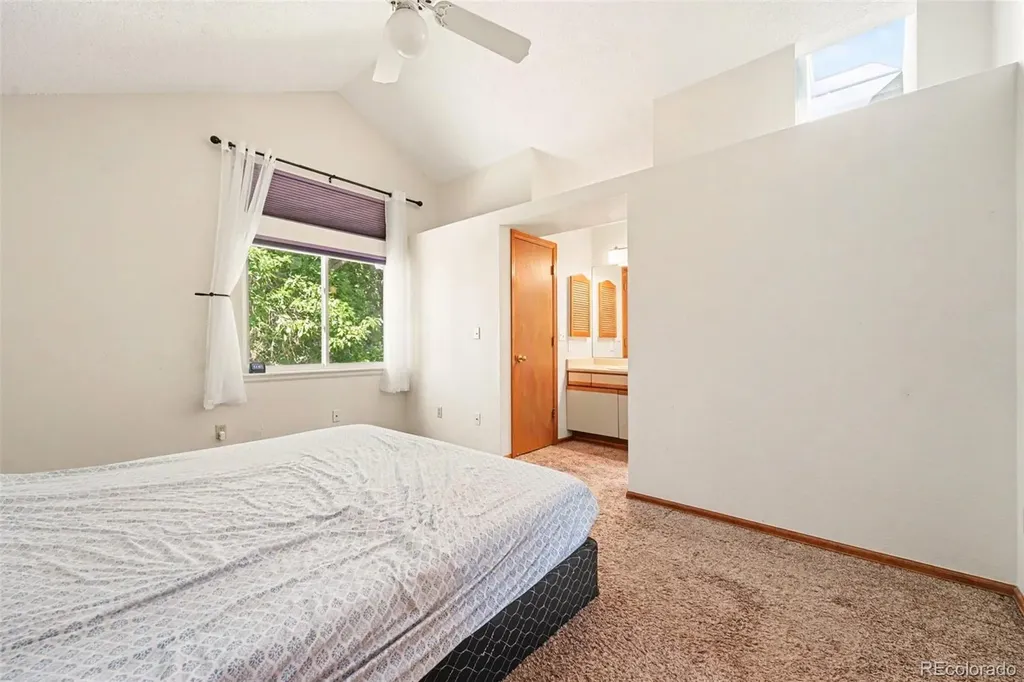 11507 Wray Court Parker CO 80134