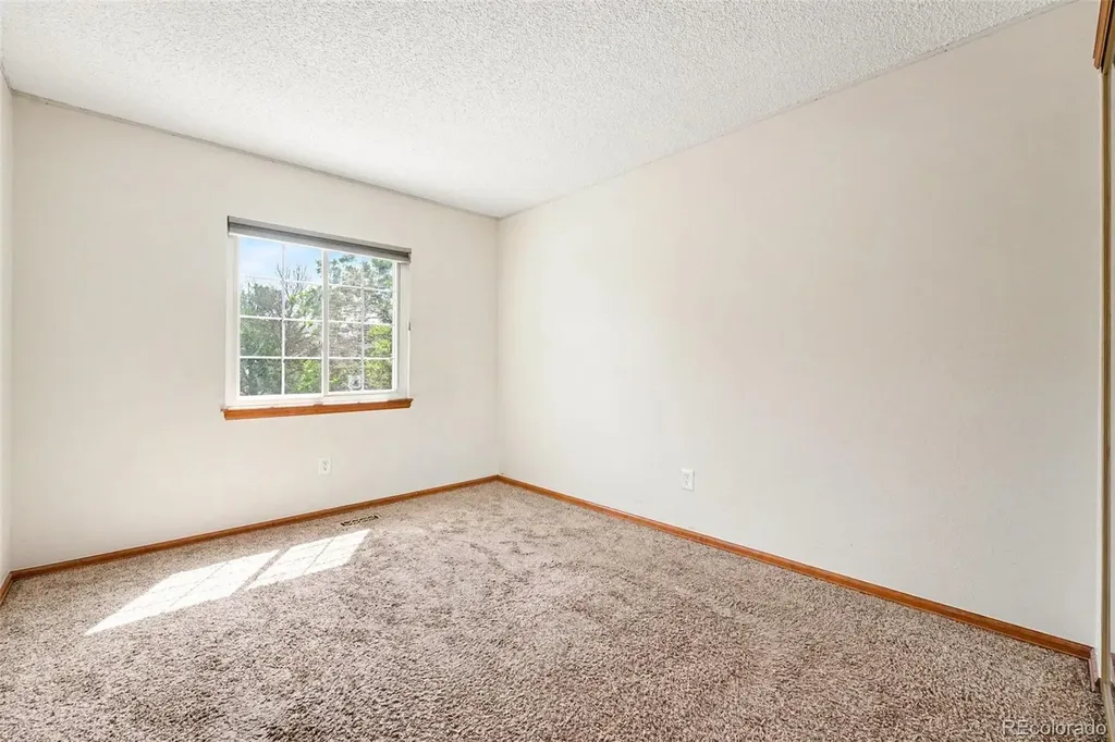 11507 Wray Court Parker CO 80134