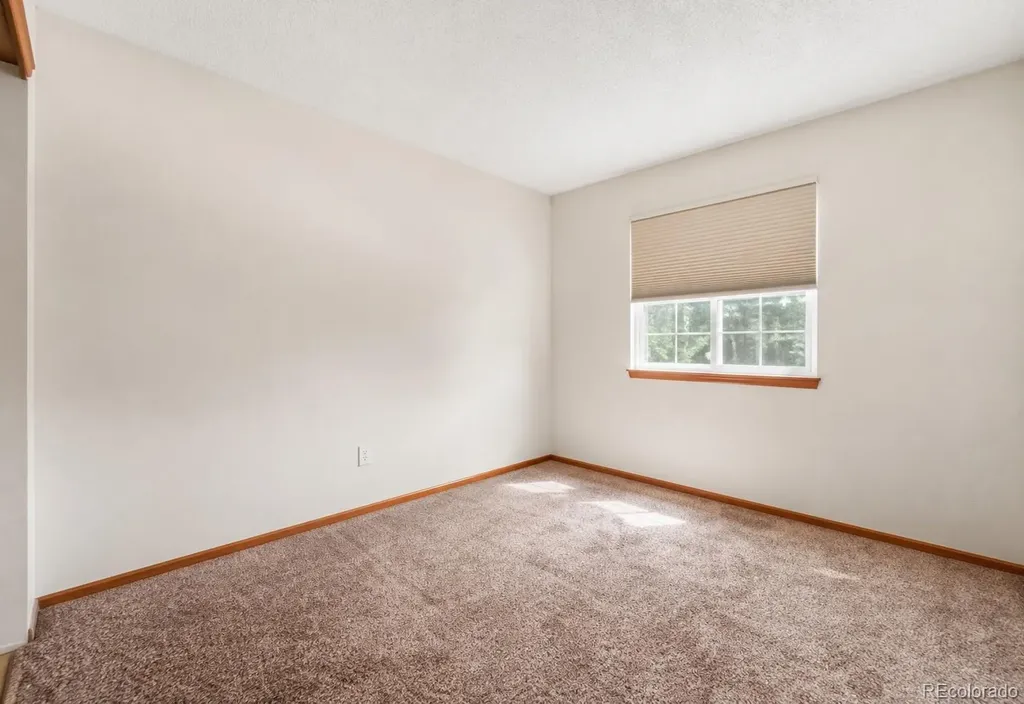 11507 Wray Court Parker CO 80134