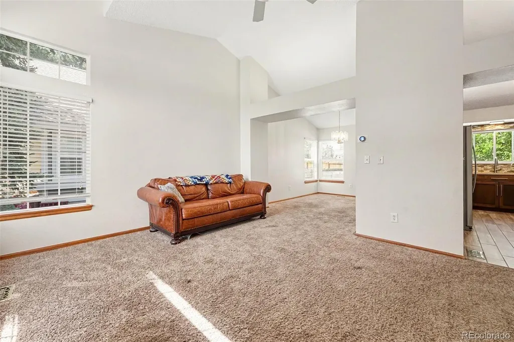 11507 Wray Court Parker CO 80134