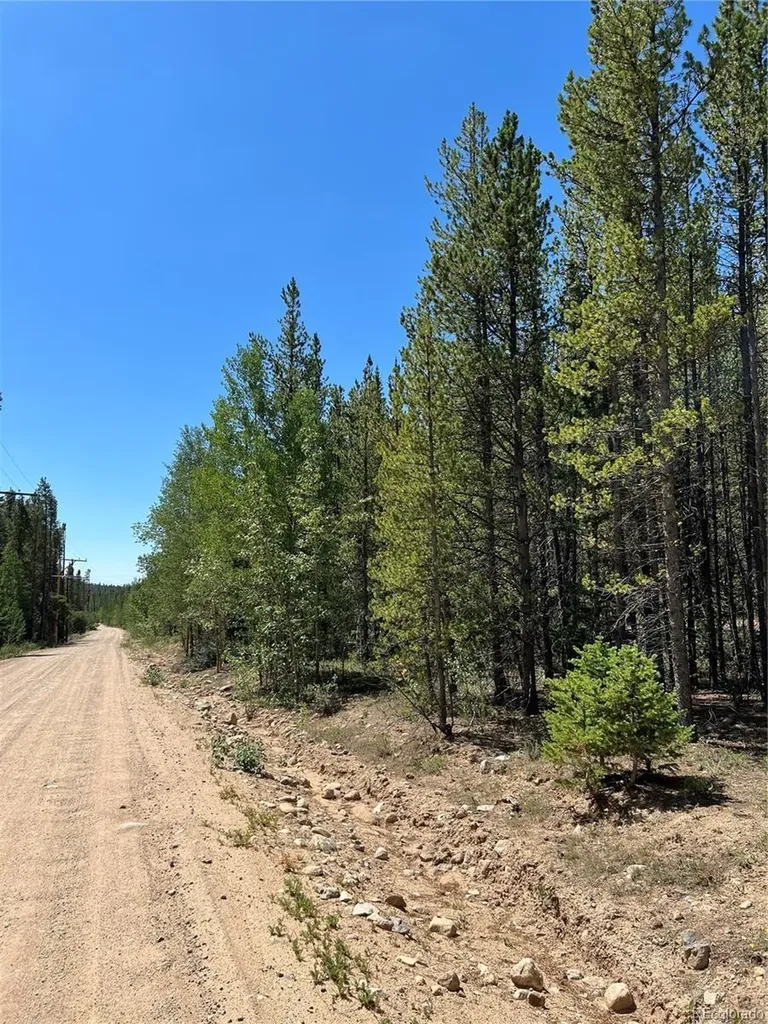 163 Co Road 665 Fairplay CO 80440