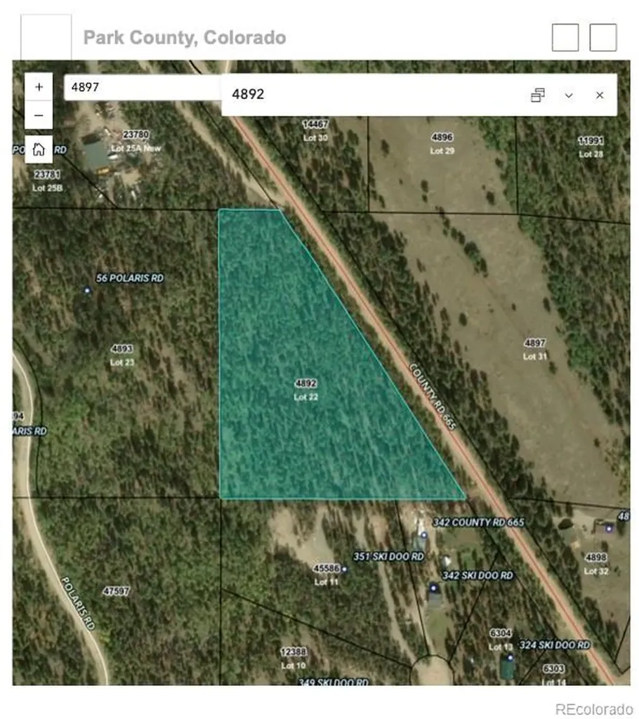 163 Co Road 665 Fairplay CO 80440
