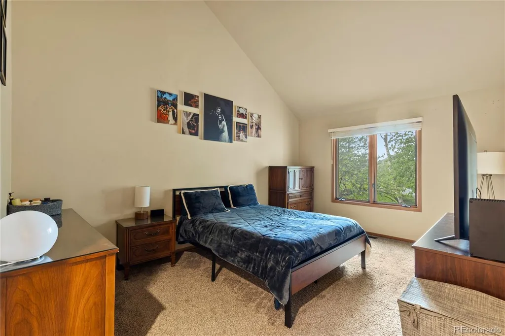 2212 Emerald Drive Castle Rock CO 80104