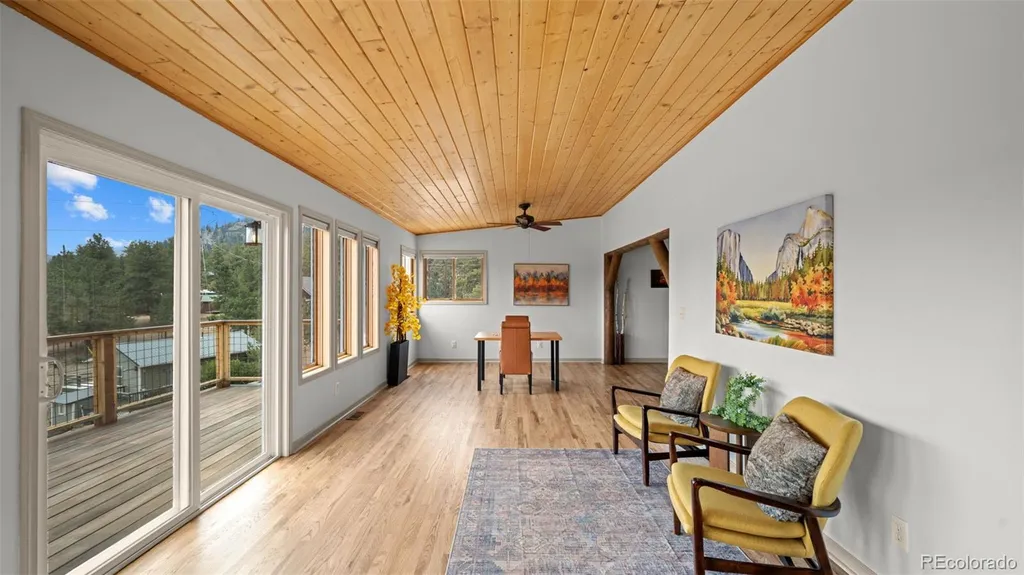 925 Midland Court Lake George CO 80827
