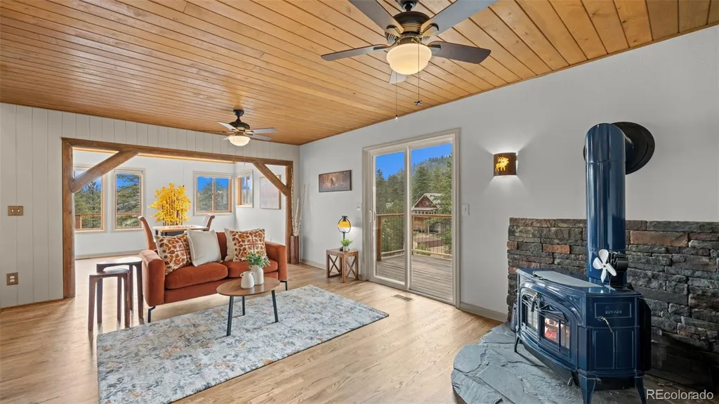 925 Midland Court Lake George CO 80827