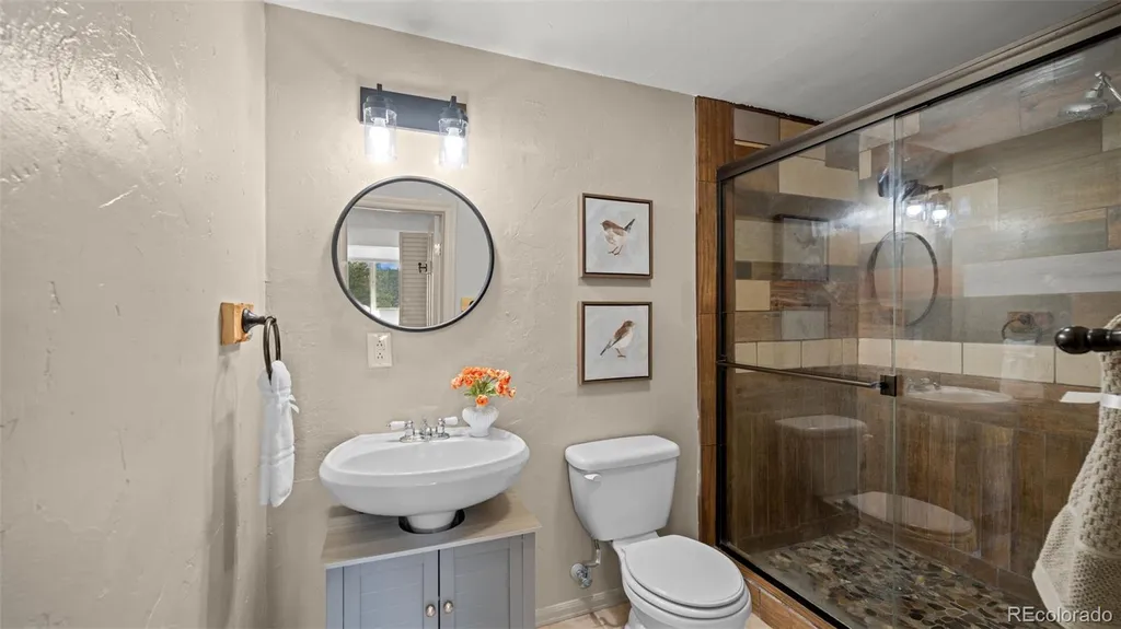 925 Midland Court Lake George CO 80827