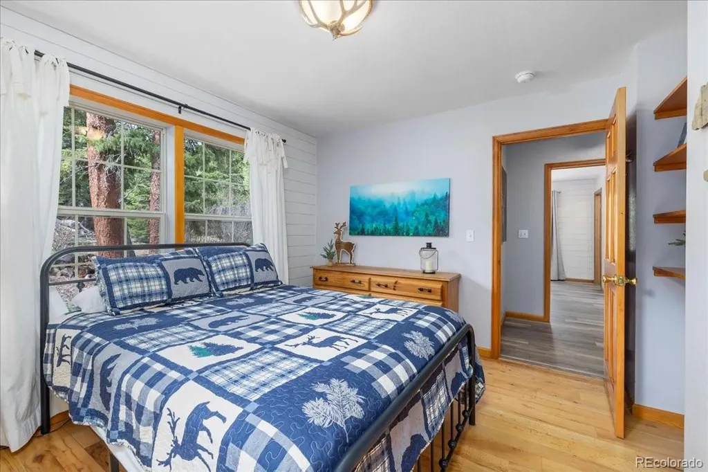 107 Scr 675 Breckenridge CO 80424