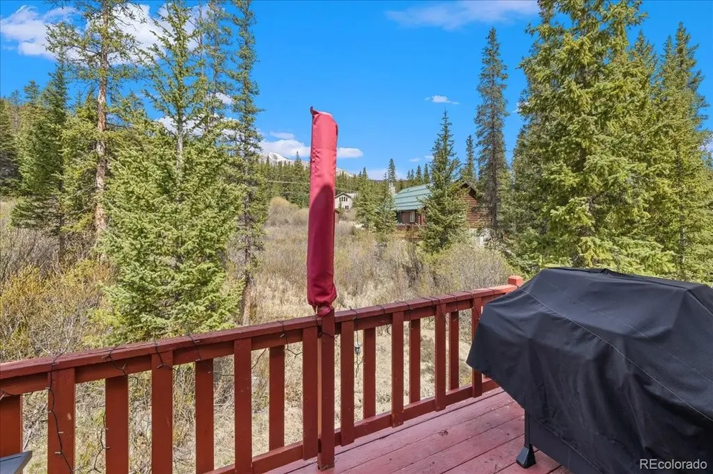 107 Scr 675 Breckenridge CO 80424