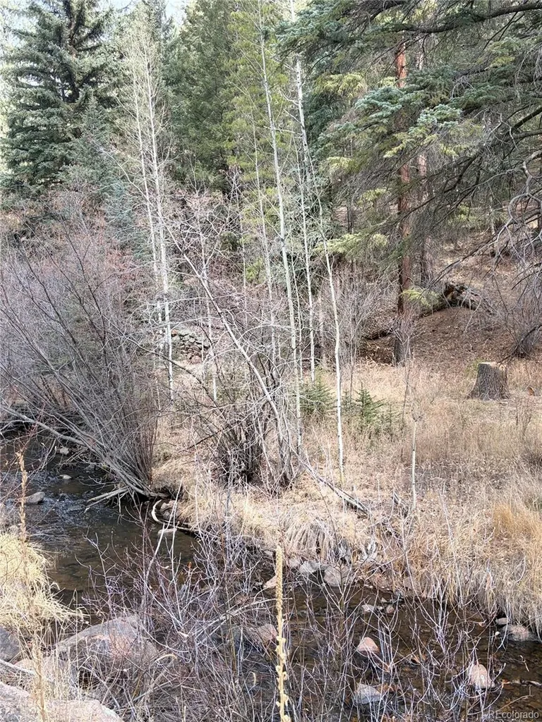 00000 S Elk Creek Road Pine CO 80470