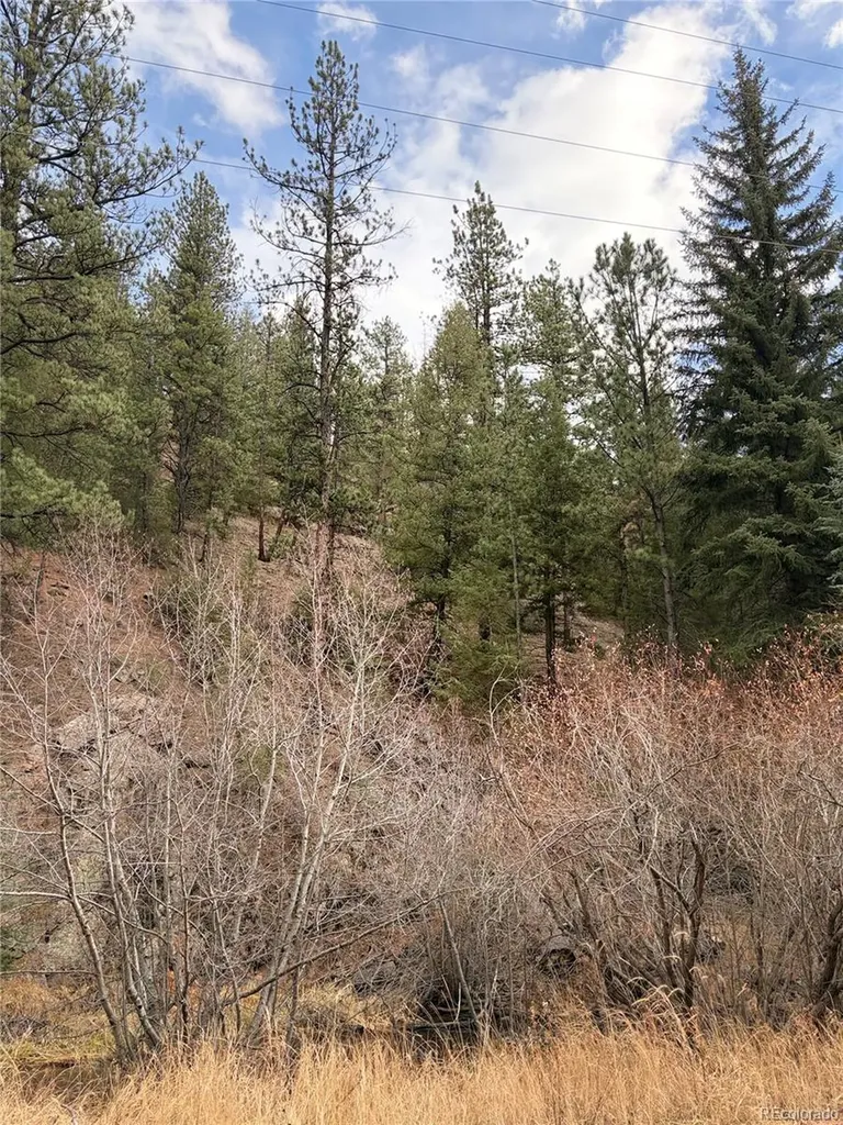 00000 S Elk Creek Road Pine CO 80470