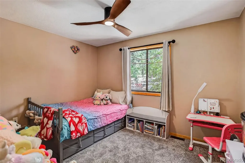 858 Forest Drive Bailey CO 80421