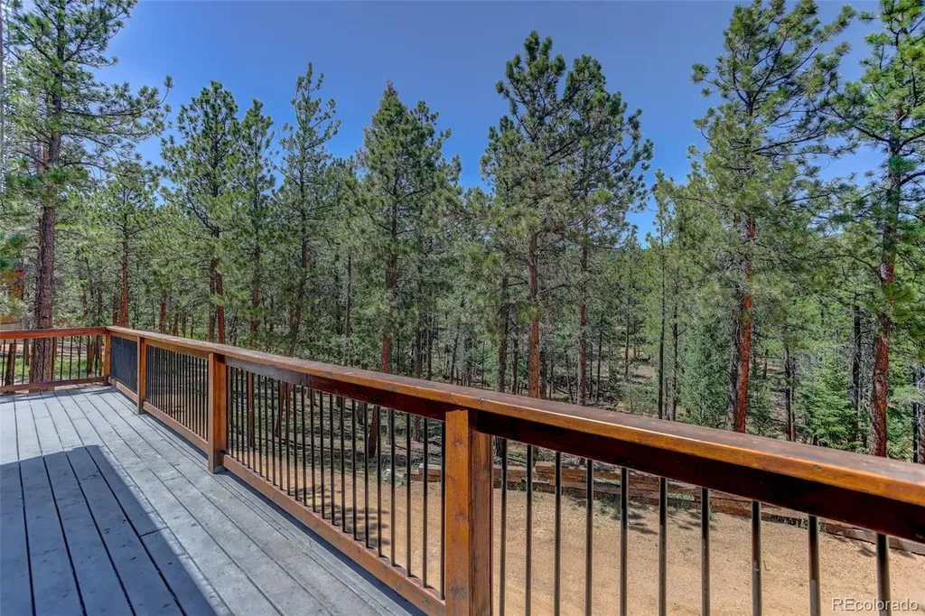 858 Forest Drive Bailey CO 80421