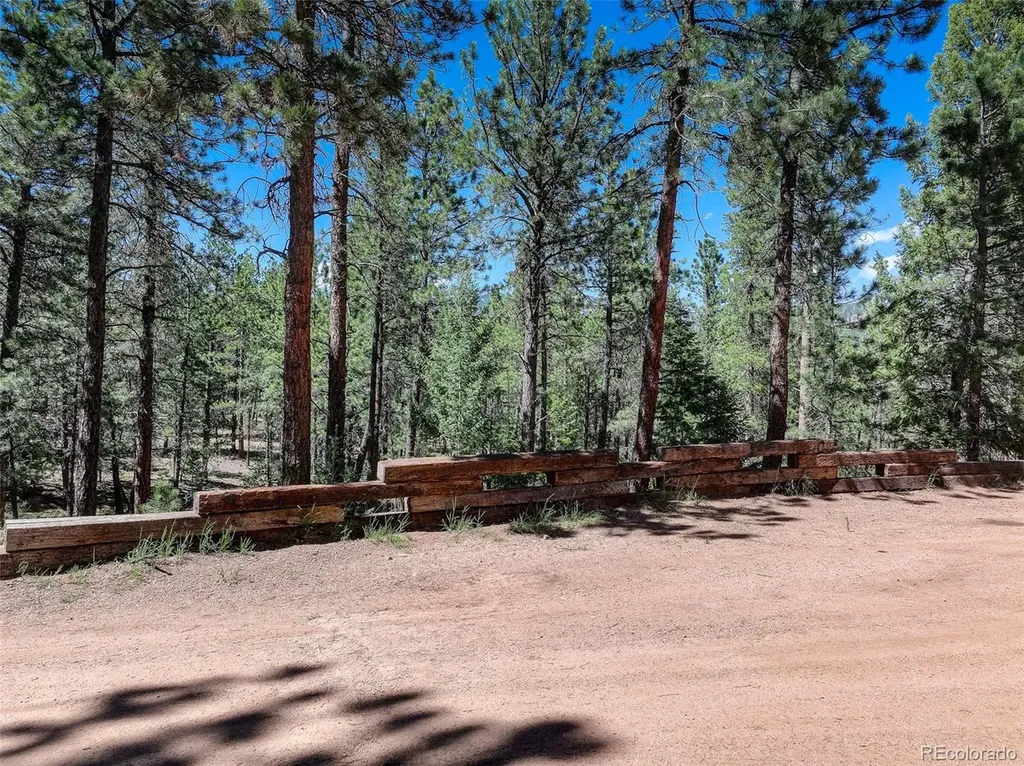 858 Forest Drive Bailey CO 80421
