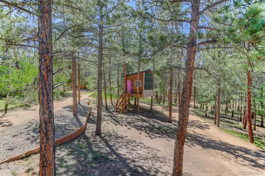 858 Forest Drive Bailey CO 80421