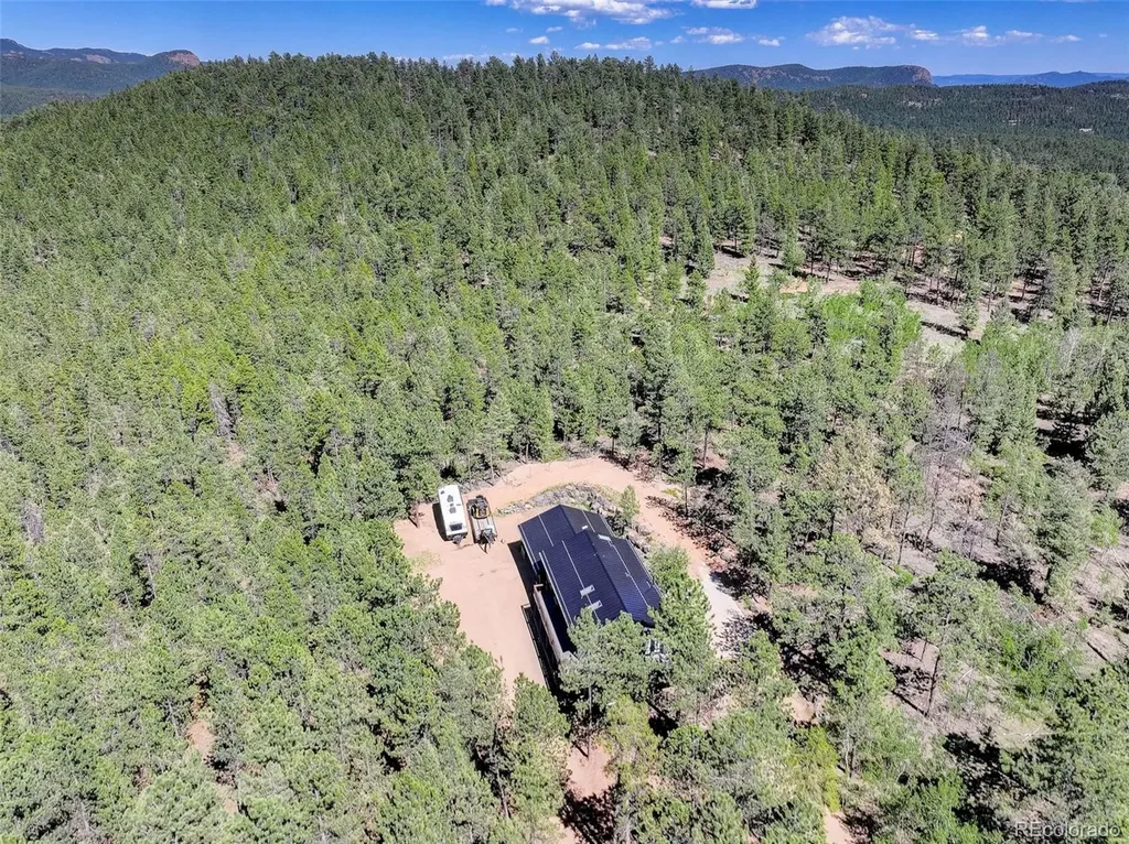 858 Forest Drive Bailey CO 80421