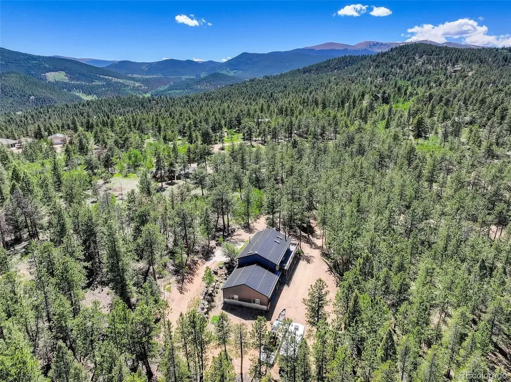 858 Forest Drive Bailey CO 80421