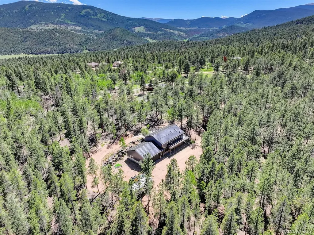 858 Forest Drive Bailey CO 80421