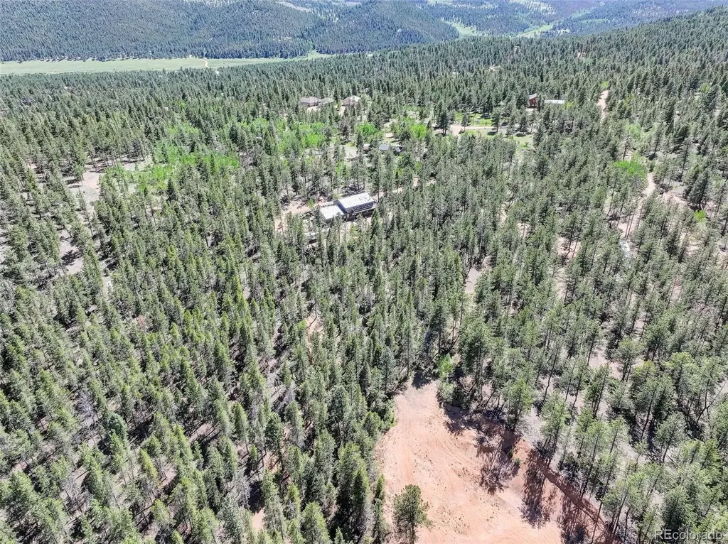 858 Forest Drive Bailey CO 80421